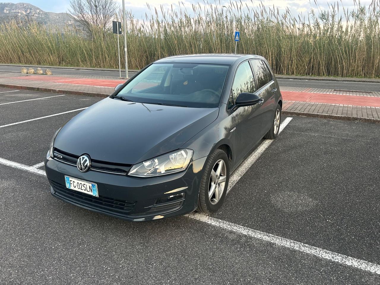 Volkswagen Golf serie 7 - 1.4 TGI 5p. Executive BlueMotion