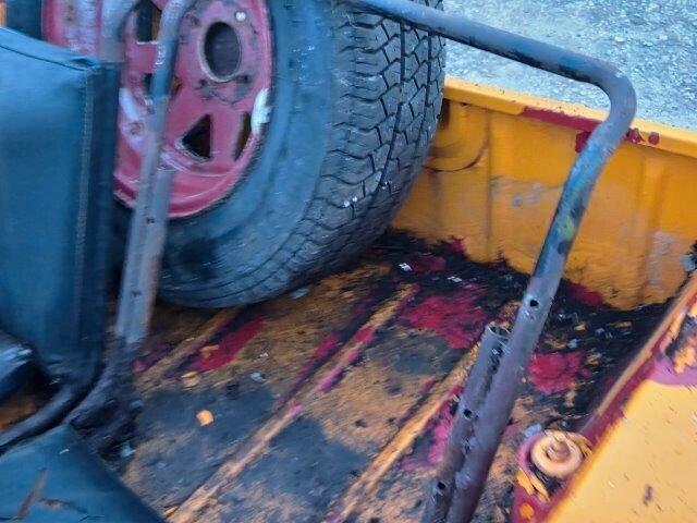 LEYLAND MINI MOKE CALIFORN - DA RESTAURO -