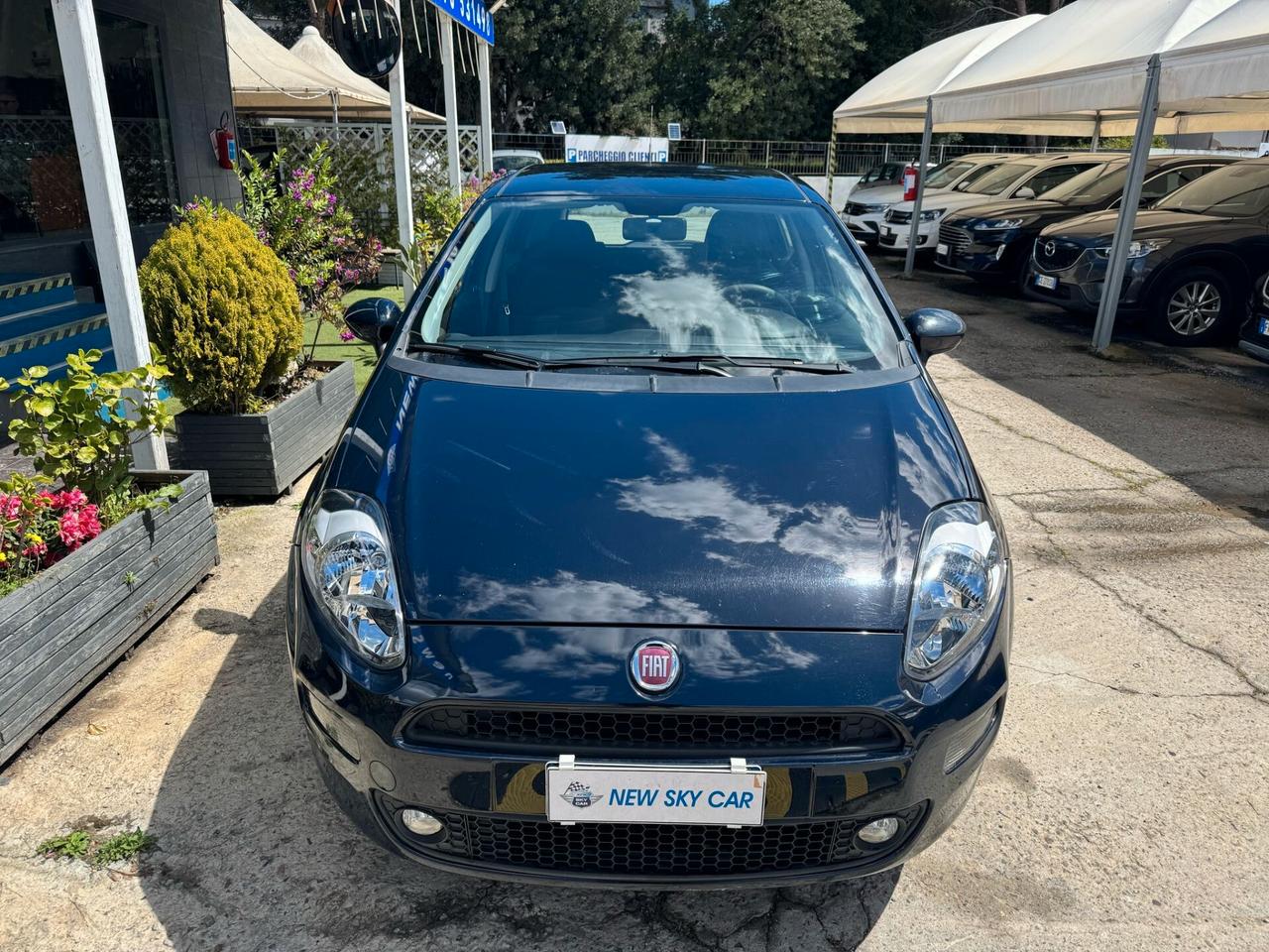 Fiat Punto 1.2 8V 5 porte Lounge