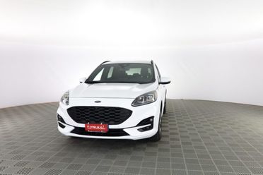 FORD Kuga Kuga 2.0 EcoBlue 120 CV aut. 2WD ST-Line