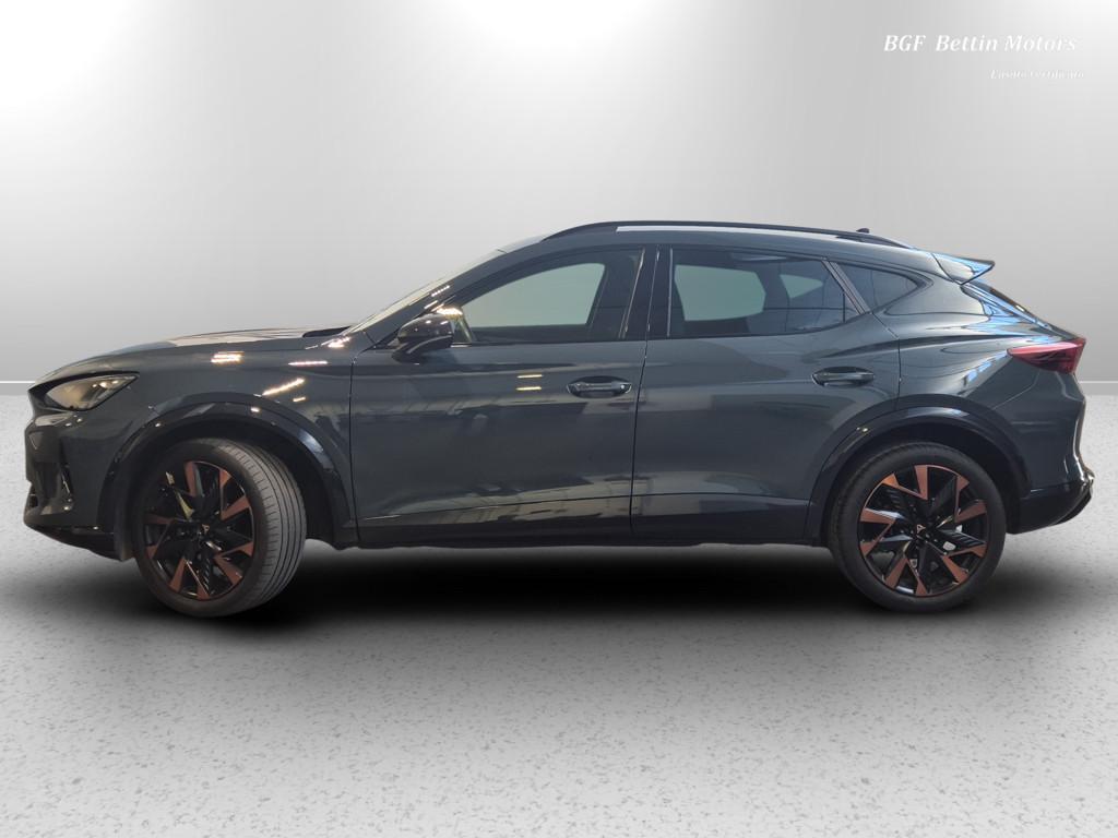 Cupra Formentor 2.0 tdi 150cv dsg