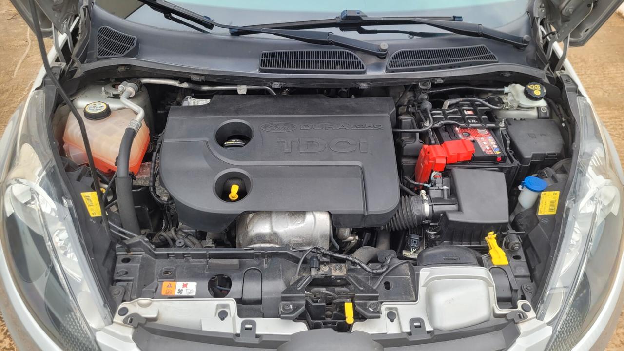 Ford Fiesta 1.4 TDCi 70CV 5p. Titanium.Bs.