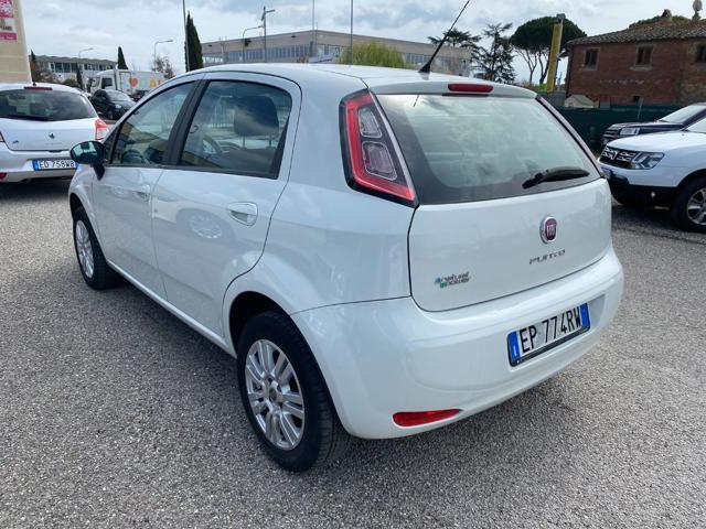 FIAT Punto 1.4 8V 5 porte Natural Power Pop NEOPATENTATI