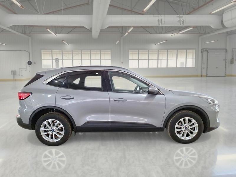 FORD KUGA 1.5 EcoBlue 120CV 2WD Titanium Business Auto