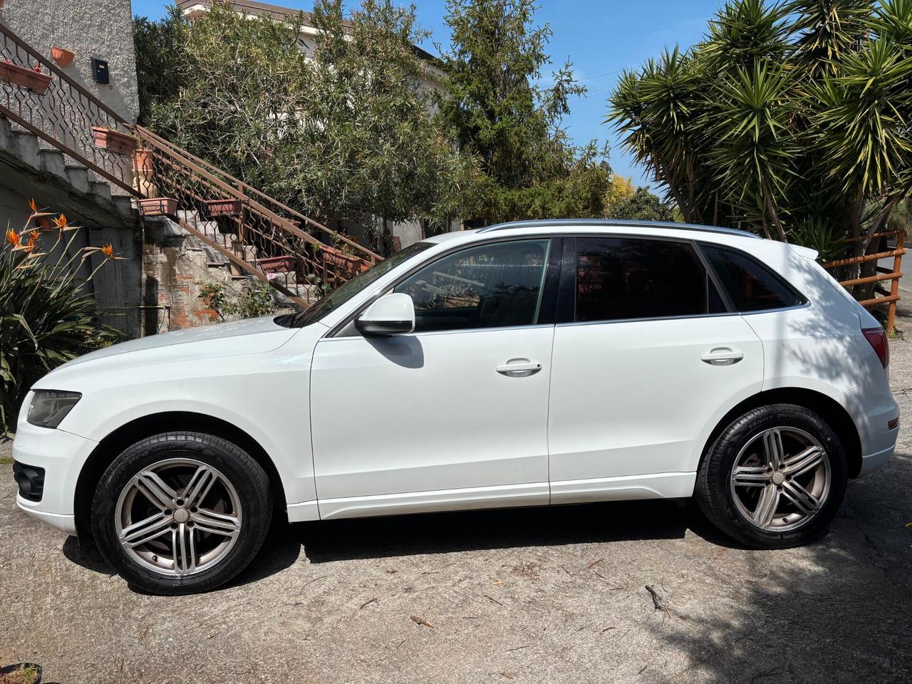 Audi Q5 2.0 TDI 143 CV quattro Advanced Plus tetto
