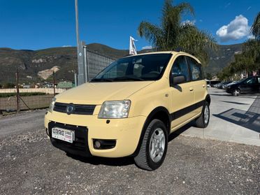 FIAT PANDA 4X4 ANNO 2008 1.2 BENZINA 60 CV