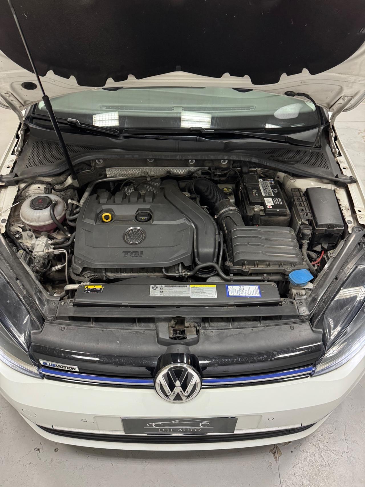 Volkswagen Golf 1.5 TGI DSG 5p. Executive BlueMotion Technology