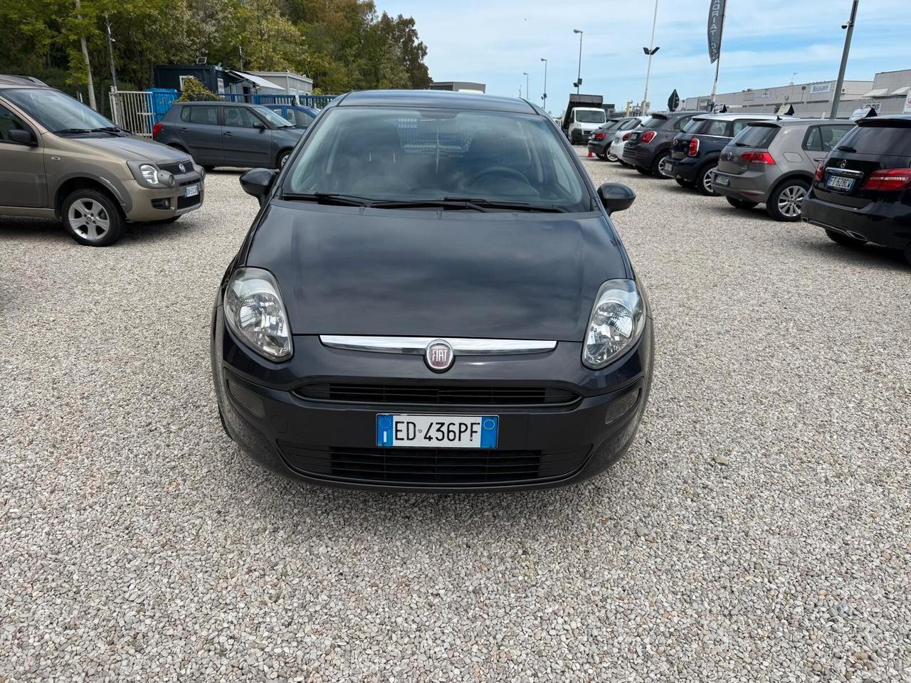 Fiat Punto Evo 1.2 5 porte Active