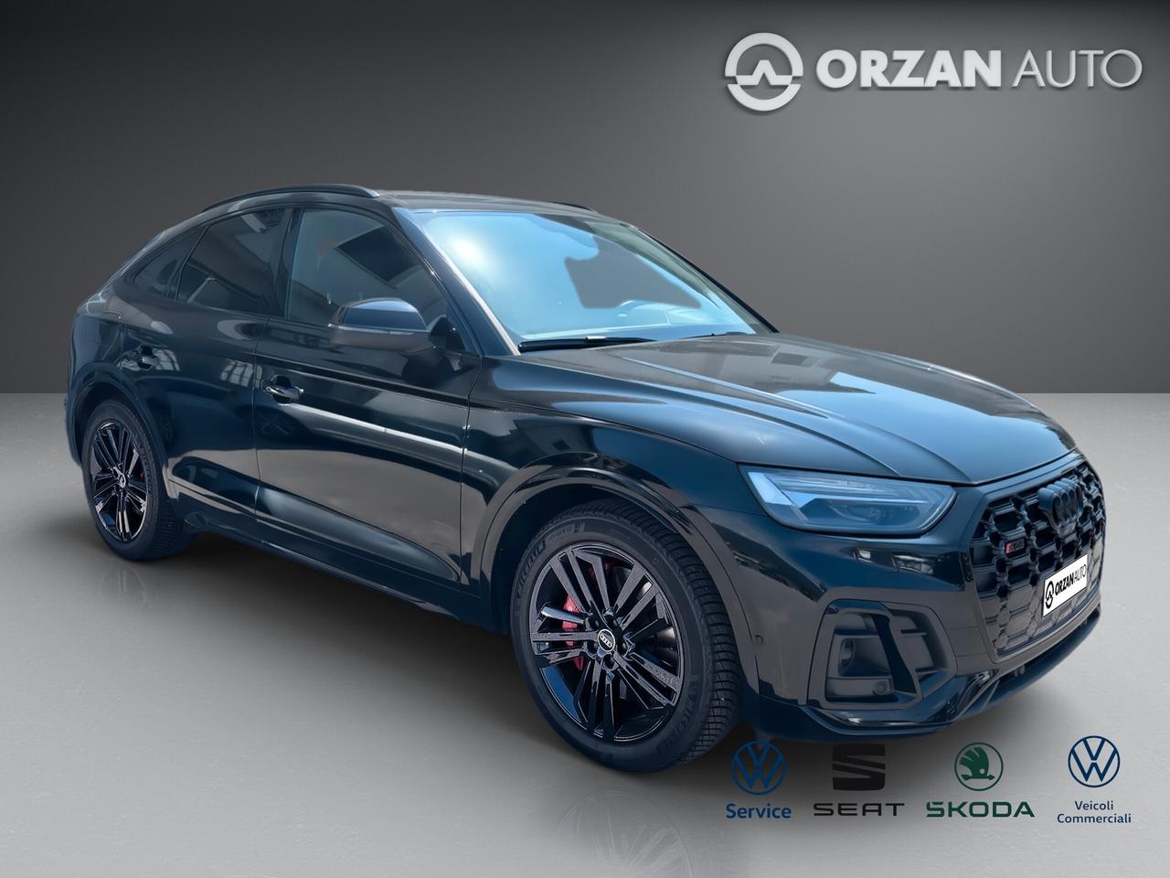 Audi Q5 SQ5 SPB TDI quattro tiptronic VENDITE 3491558563 - 3478673115