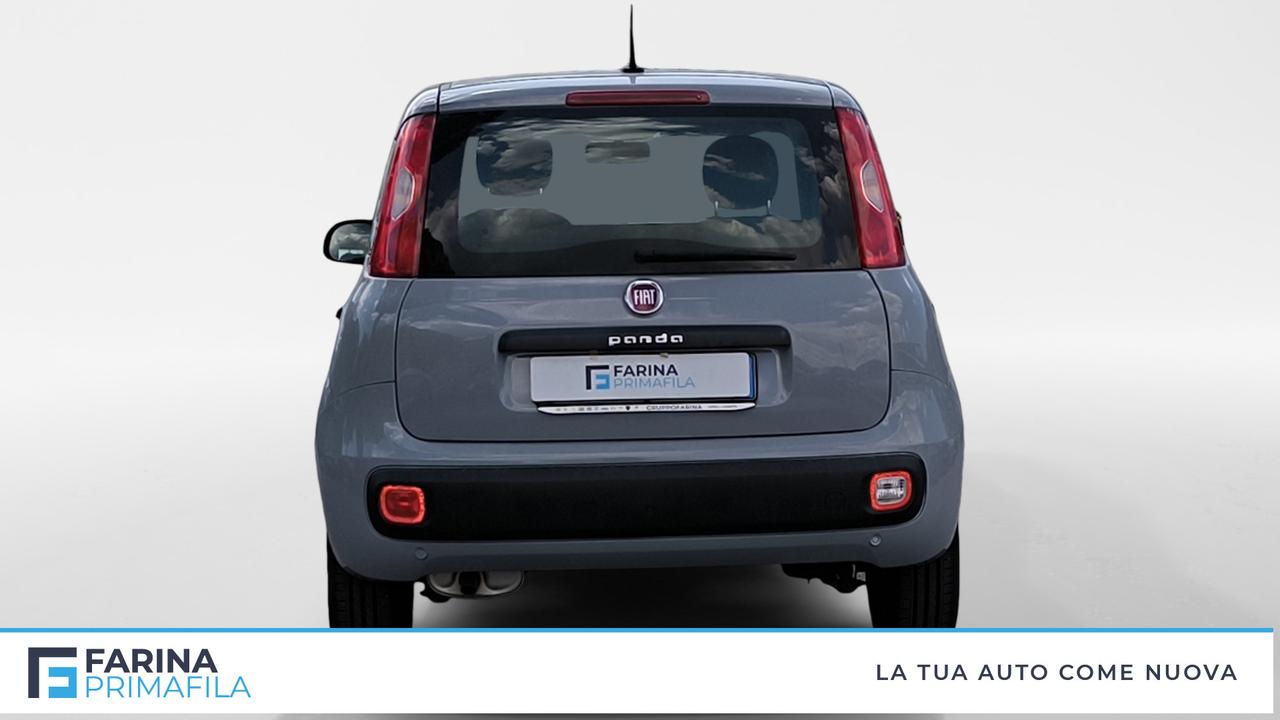 FIAT Panda III 2016 - Panda 1.2 Easy easypower Gpl 69cv my19