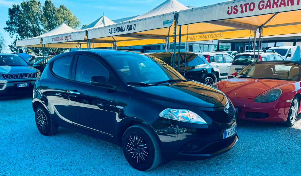 Lancia Ypsilon 1.2 69 CV 5 porte S&S Platinum