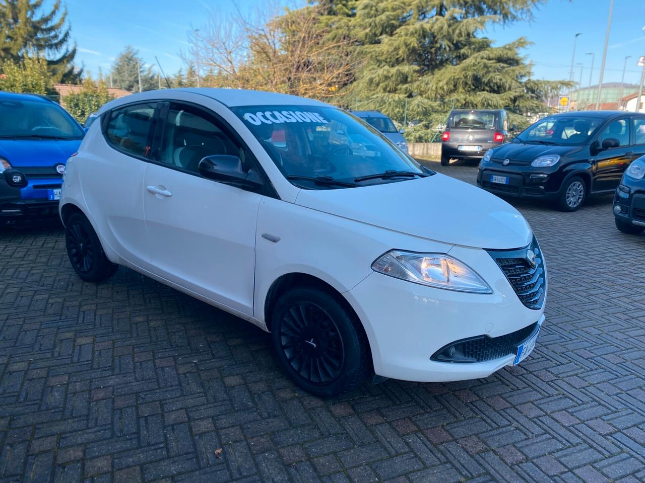 Lancia Ypsilon 1.2 69 CV 5 porte Elefantino