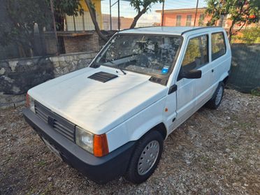 Fiat Panda 900 i.e. cat Hobby 1998