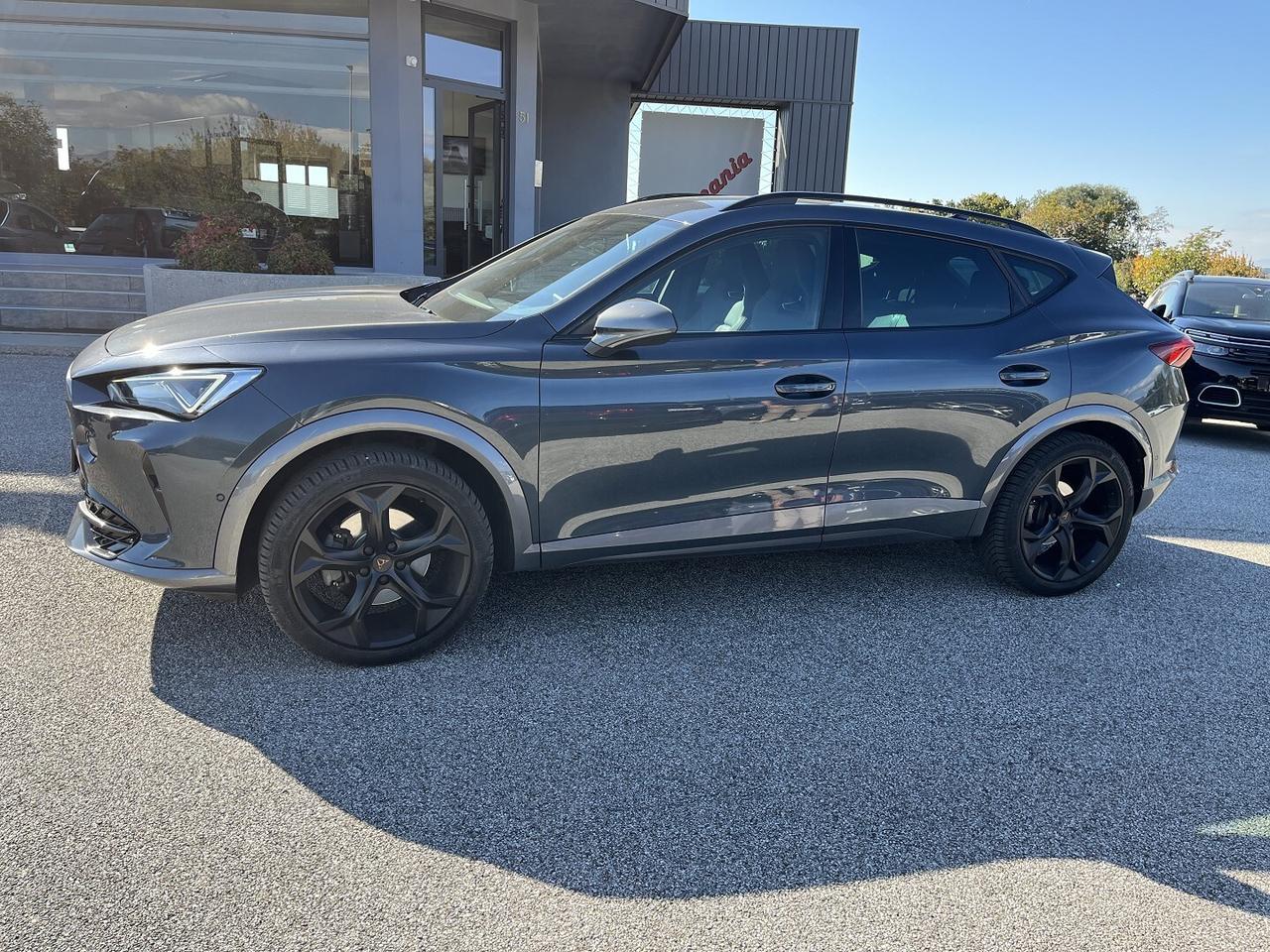 CUPRA FORMENTOR 2.0 TDI 150 CV 4X4 DSG