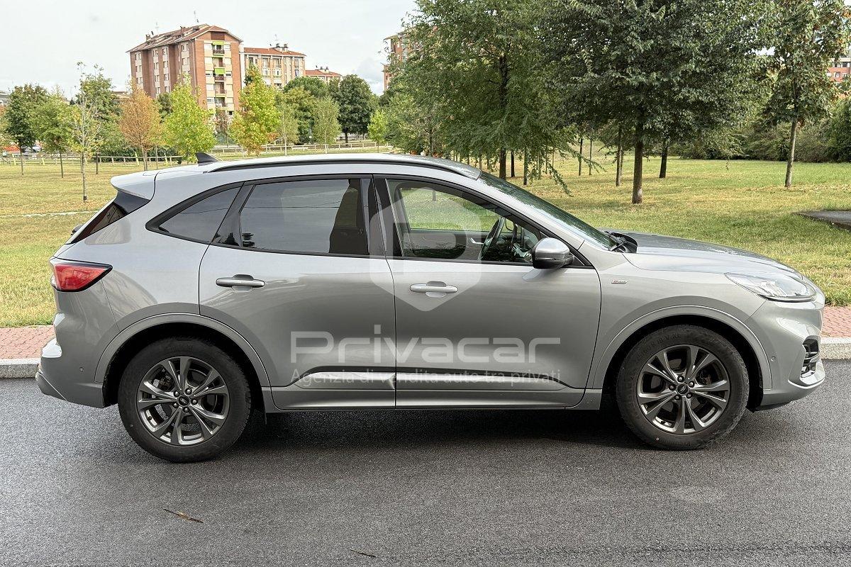 FORD Kuga 2.0 EcoBlue Hybrid 150 CV 2WD ST-Line