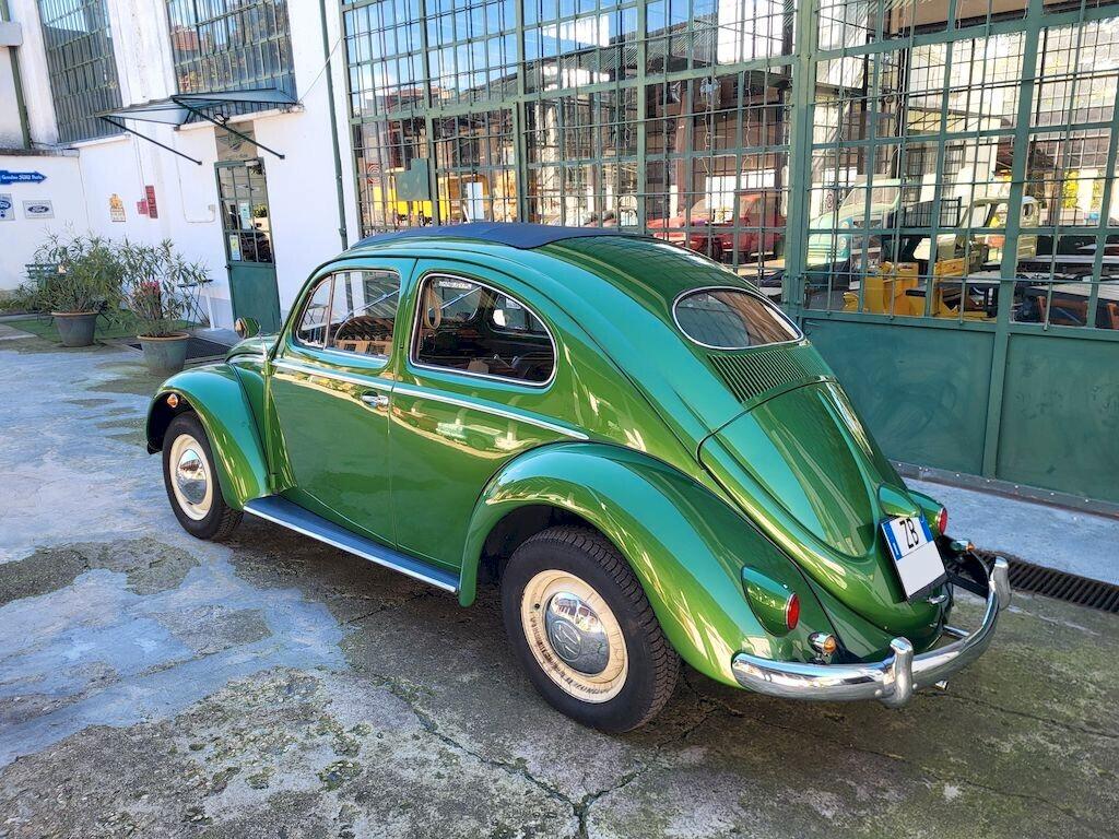 Volkswagen Maggiolino 1200 “Ovalino” Tetto Apribile Käfer Beetle Coccinelle - 1956 - WINTER SALE!