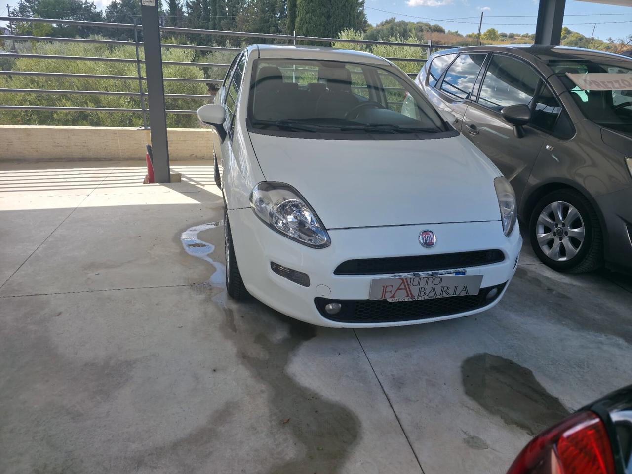 Fiat Punto 1.3 MJT II S&S 85 CV 5 porte ECO Easy