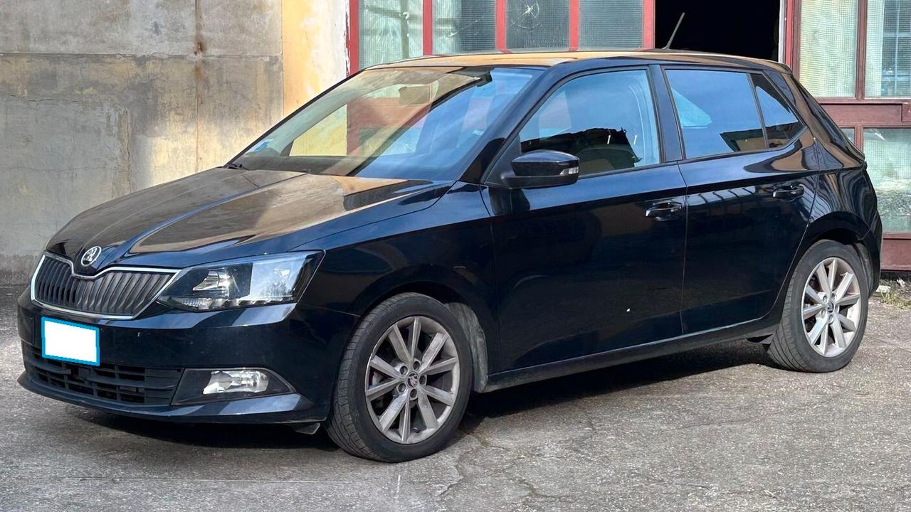 Skoda Fabia 1.4 TDI 90 CV AUTOCARRO N1 4 POSTI