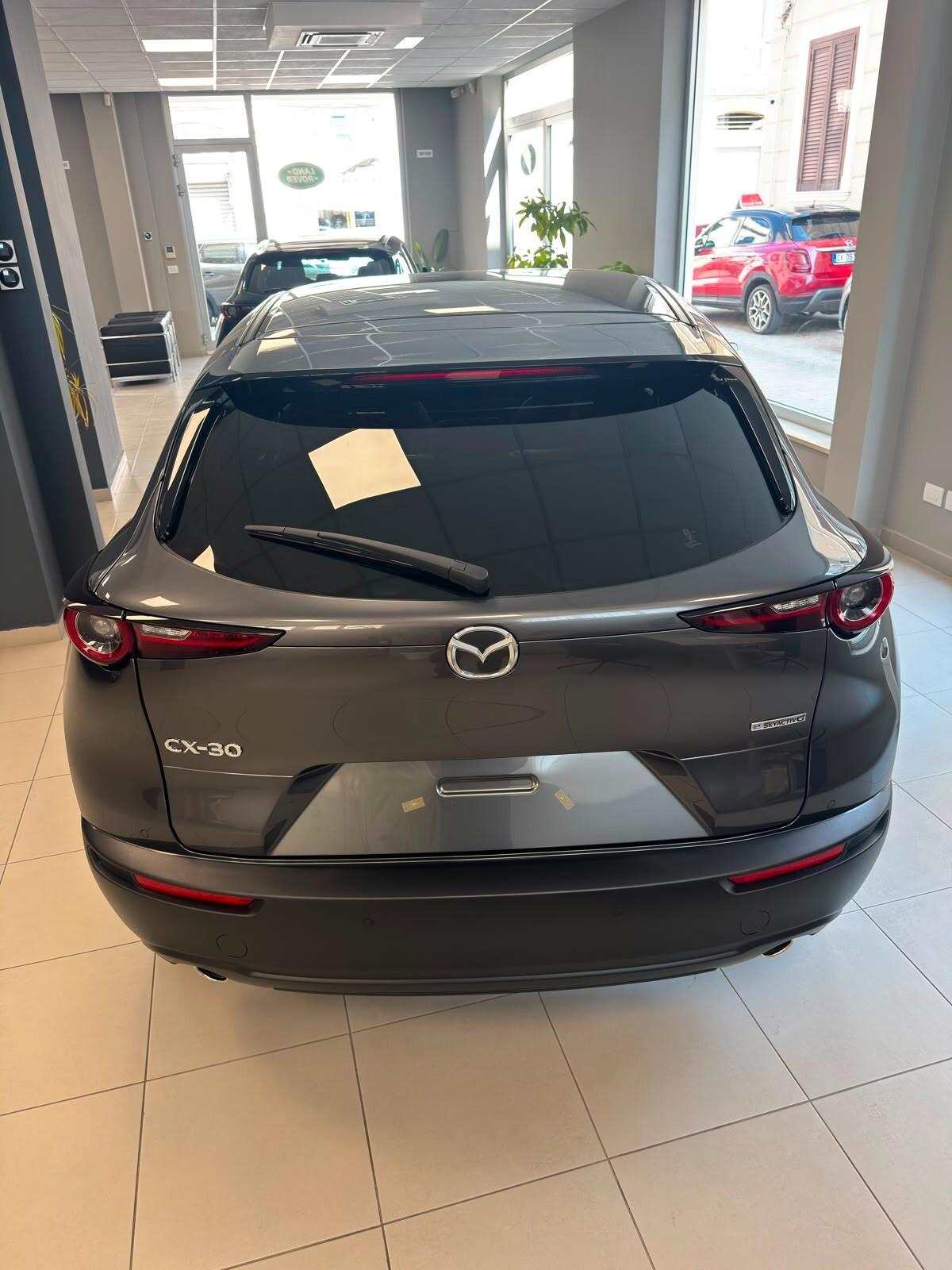 Mazda CX-30 e-Skyactiv-G M Hybrid 2WD Nagisa