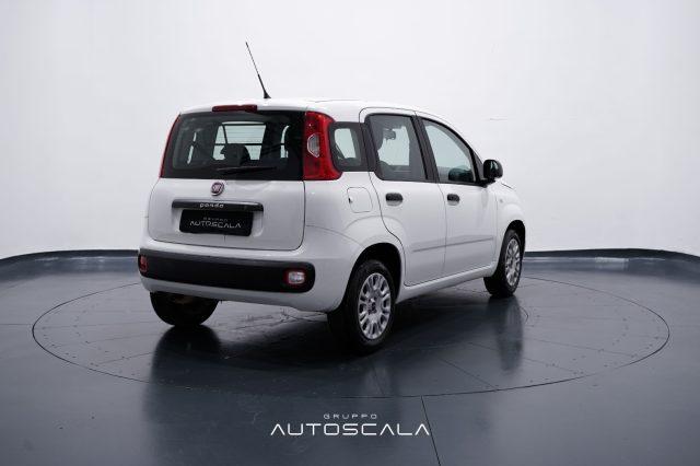 FIAT New Panda 1.2 Easy 4 posti N1 Autocarro della casa