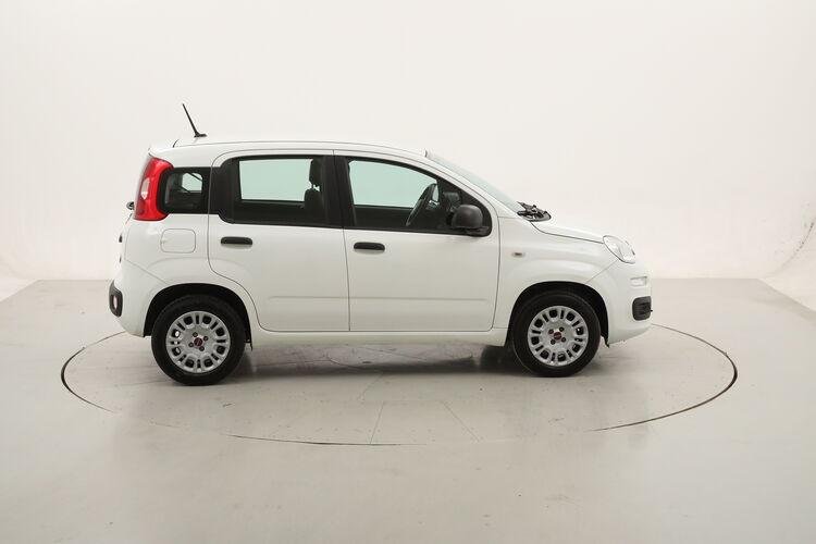 Fiat Panda Easy BR231570 1.2 Benzina 69CV
