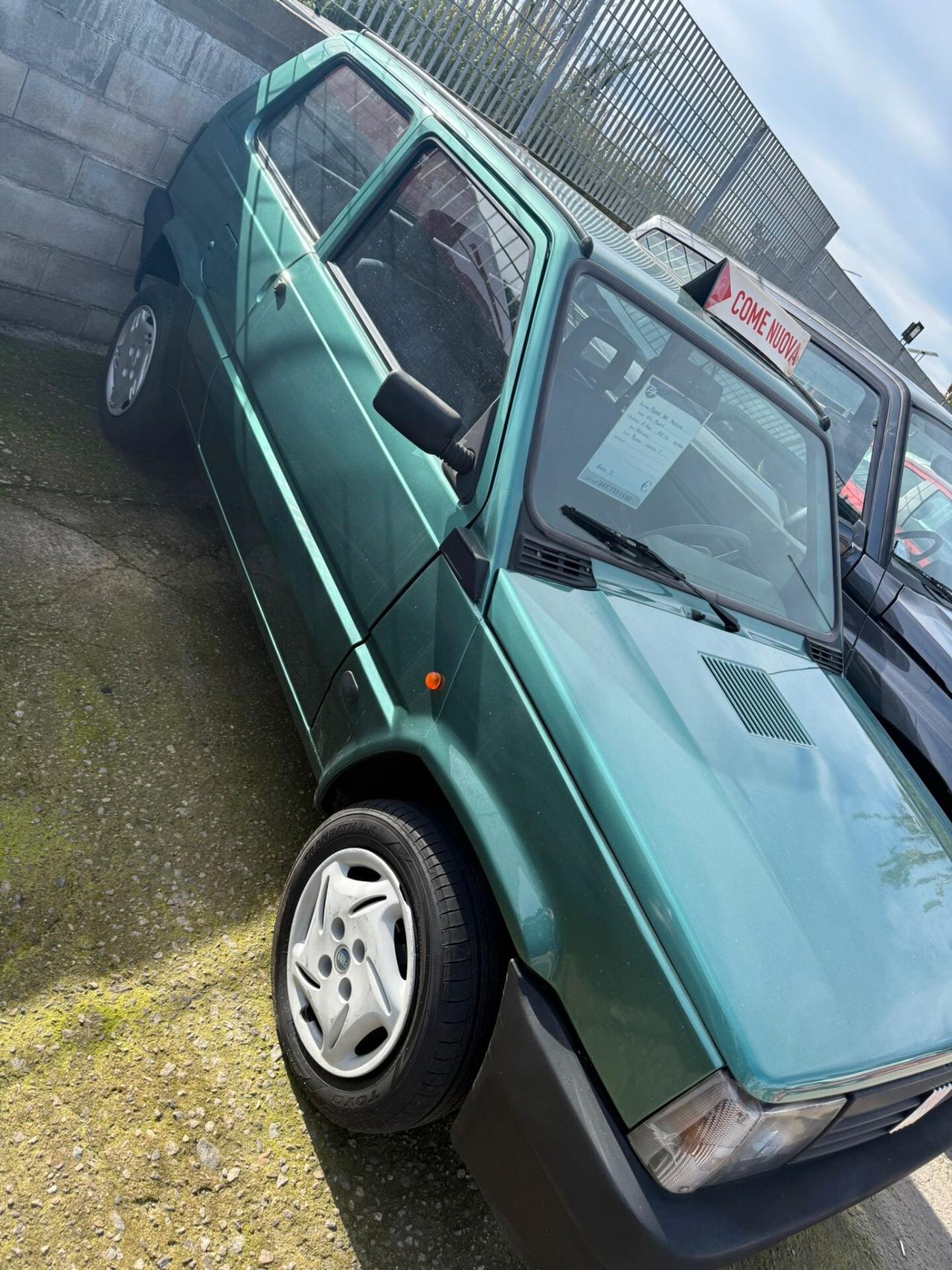 Fiat Panda 1100 i.e. cat Young