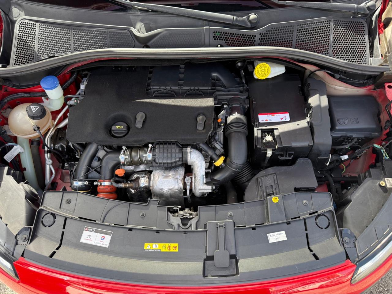 Citroen C4 Cactus 1.6 e-HDi 92 ETG6 Shine Automatica