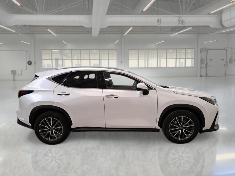 LEXUS NX Hybrid Premium 4WD MY22