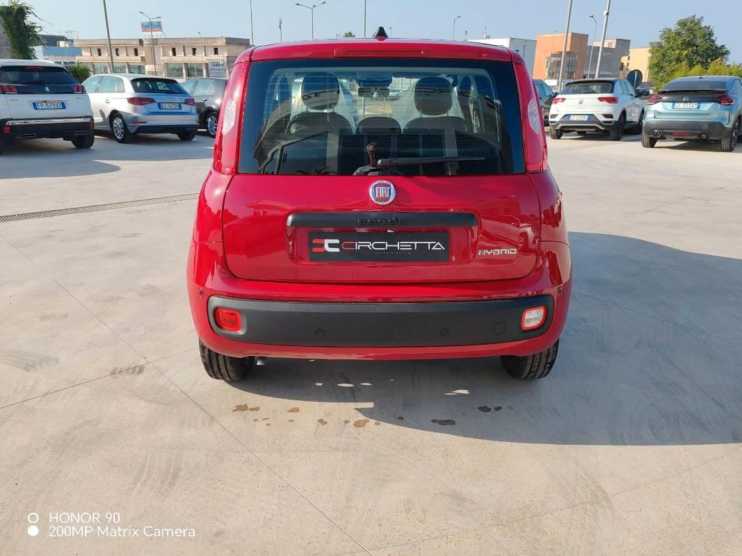 Fiat Pandina 1.0 firefly hybrid Icon s&s 65cv 5p.ti