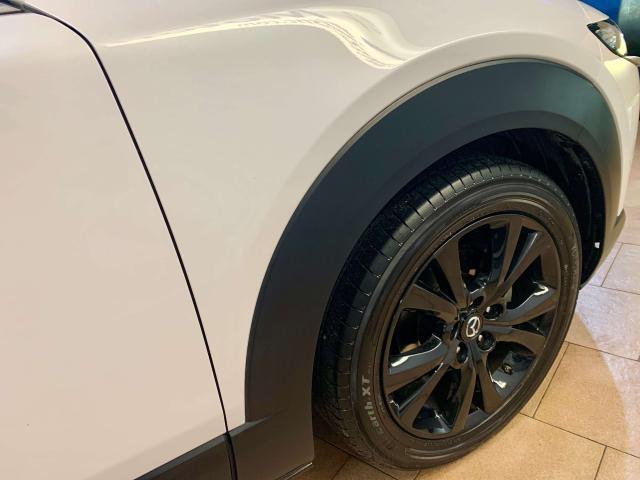 Mazda CX-30 CX-30 2.0 m-hybrid Homura 2wd 150cv 6mt