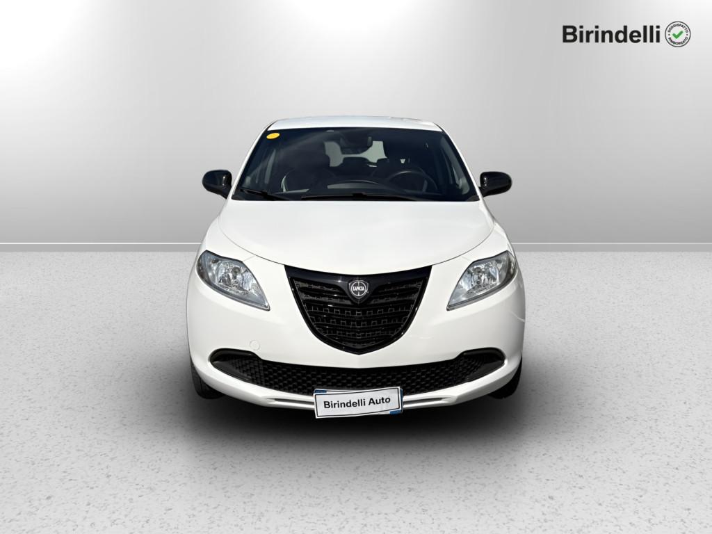 LANCIA Ypsilon 3ª serie - Ypsilon 1.2 69 CV 5 porte Elefantino
