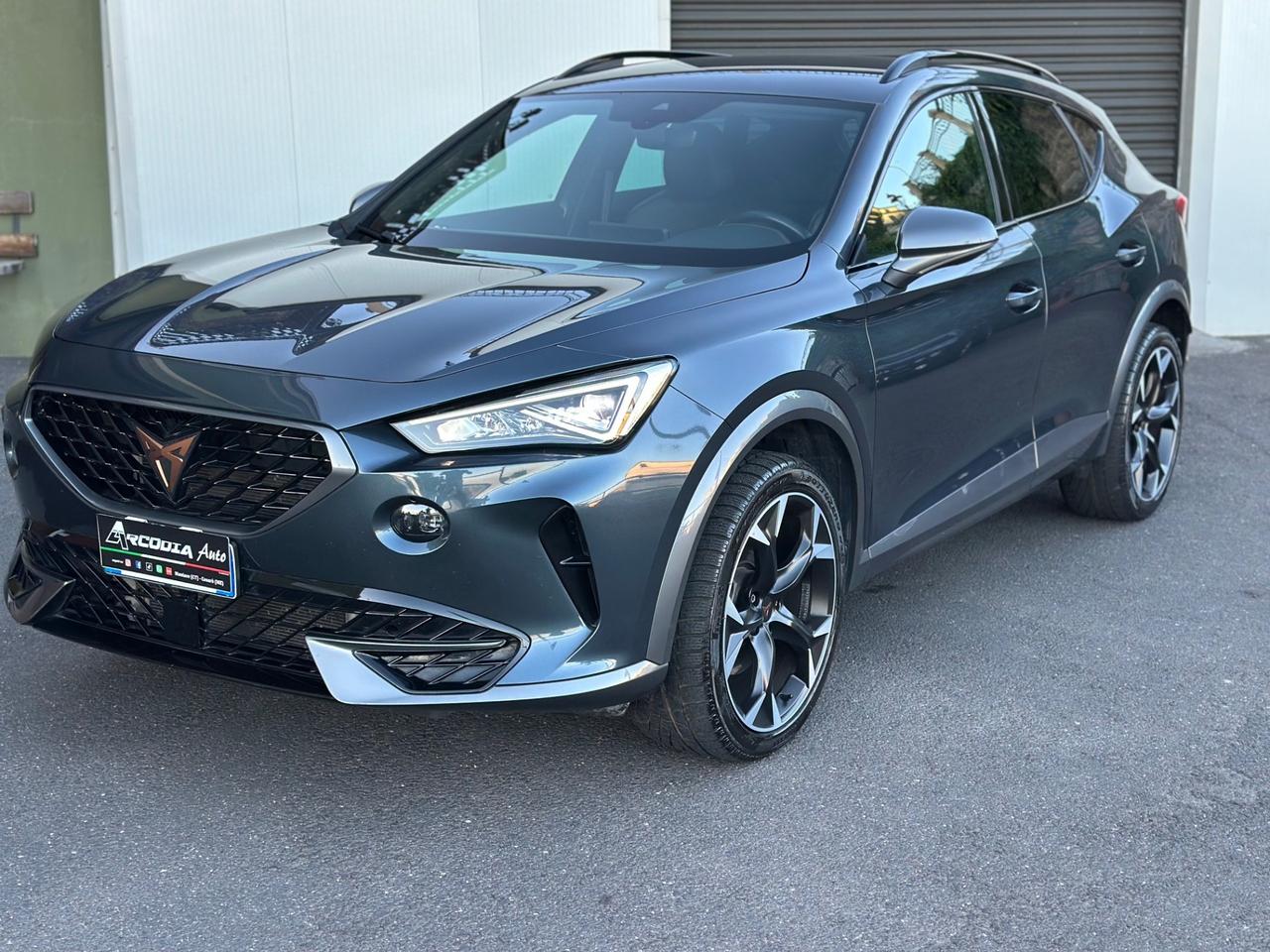 Cupra Formentor 2.0 TDI 4Drive DSG