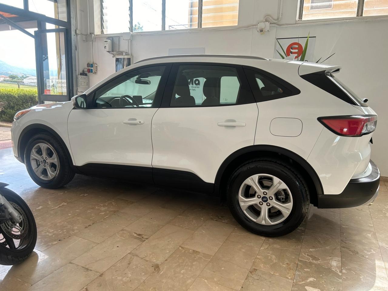 Ford Kuga 1.5 EcoBlue 120 CV 2WD Titanium Business