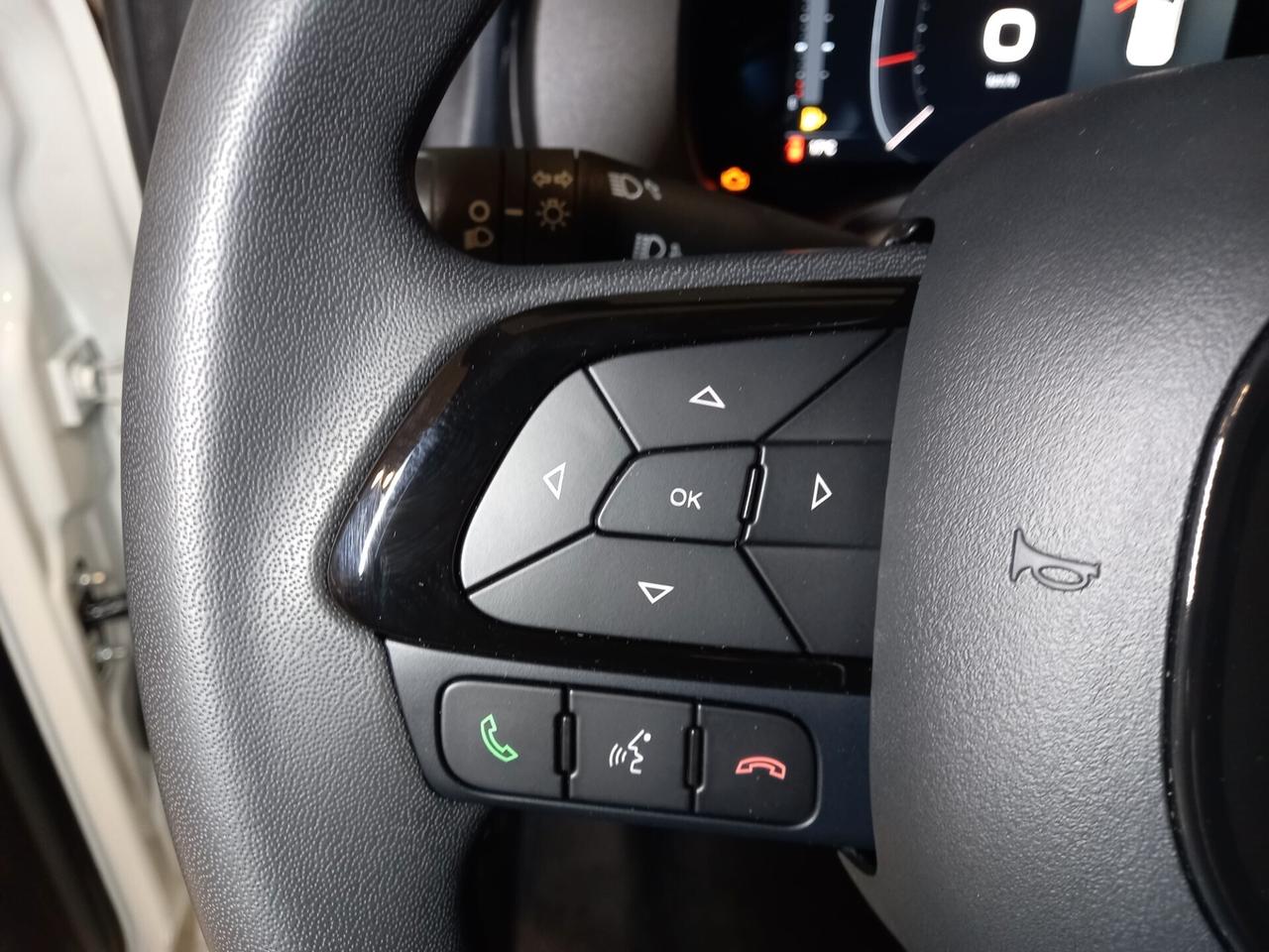 Fiat Panda 1.0 FireFly S&S Hybrid Km/0