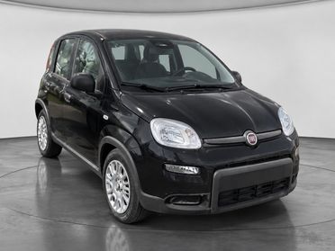 FIAT Pandina III 2024 - Pandina 1.0 firefly hybrid Icon s&s 70cv