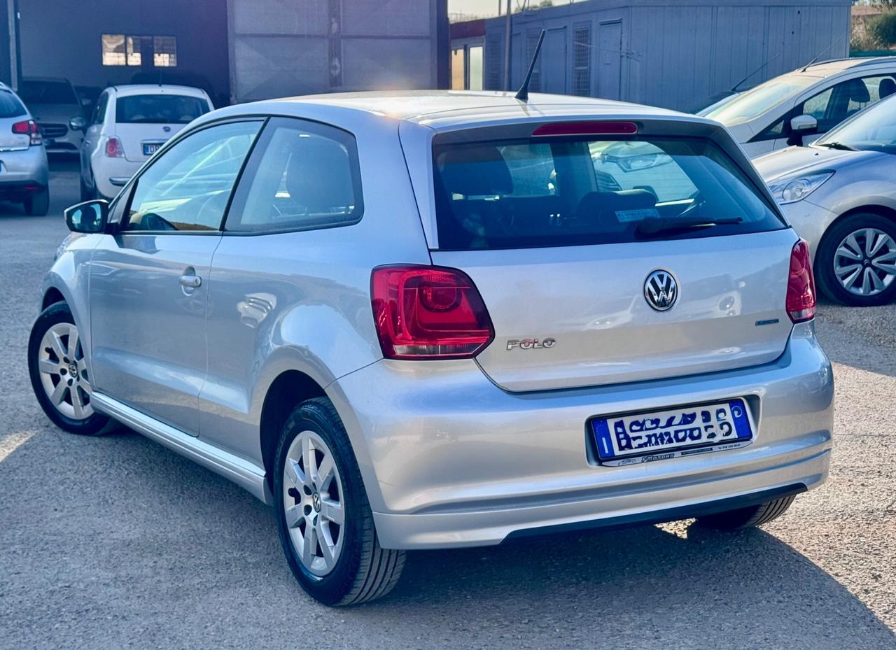 Volkswagen Polo 1.2 TDI DPF 3 p. BlueMotion 75 cv