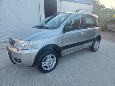 Fiat Panda 4x4 1.3 mjt 16v 4x4