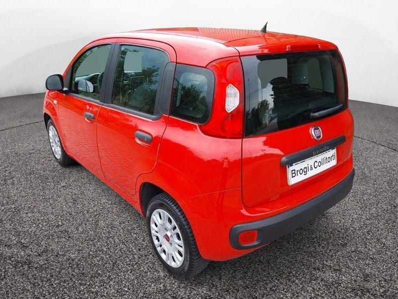 FIAT Panda III 2016 1.2 Easy s&s 69cv my19