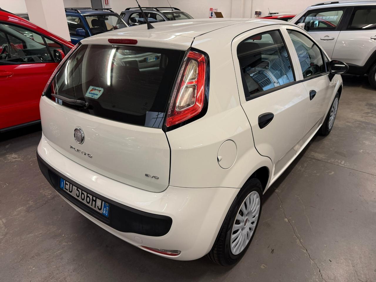 Fiat Punto Evo 1.2 5 porte Active