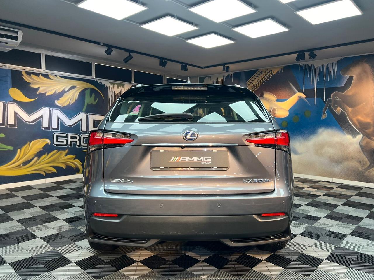 NX 300h 2.5 Executive 4wd cvt (190)