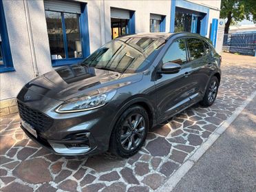 FORD Kuga 1.5 ecoblue ST-Line X 2wd 120cv auto del 2023