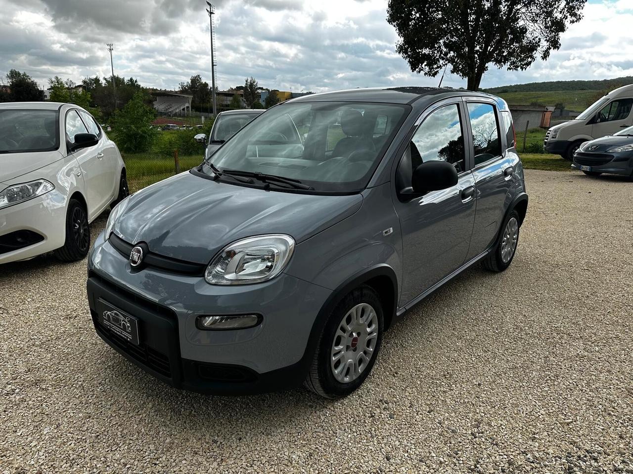 FIAT PANDA 1.0 FIREFLY S&S HYBRID PREZZO REALE
