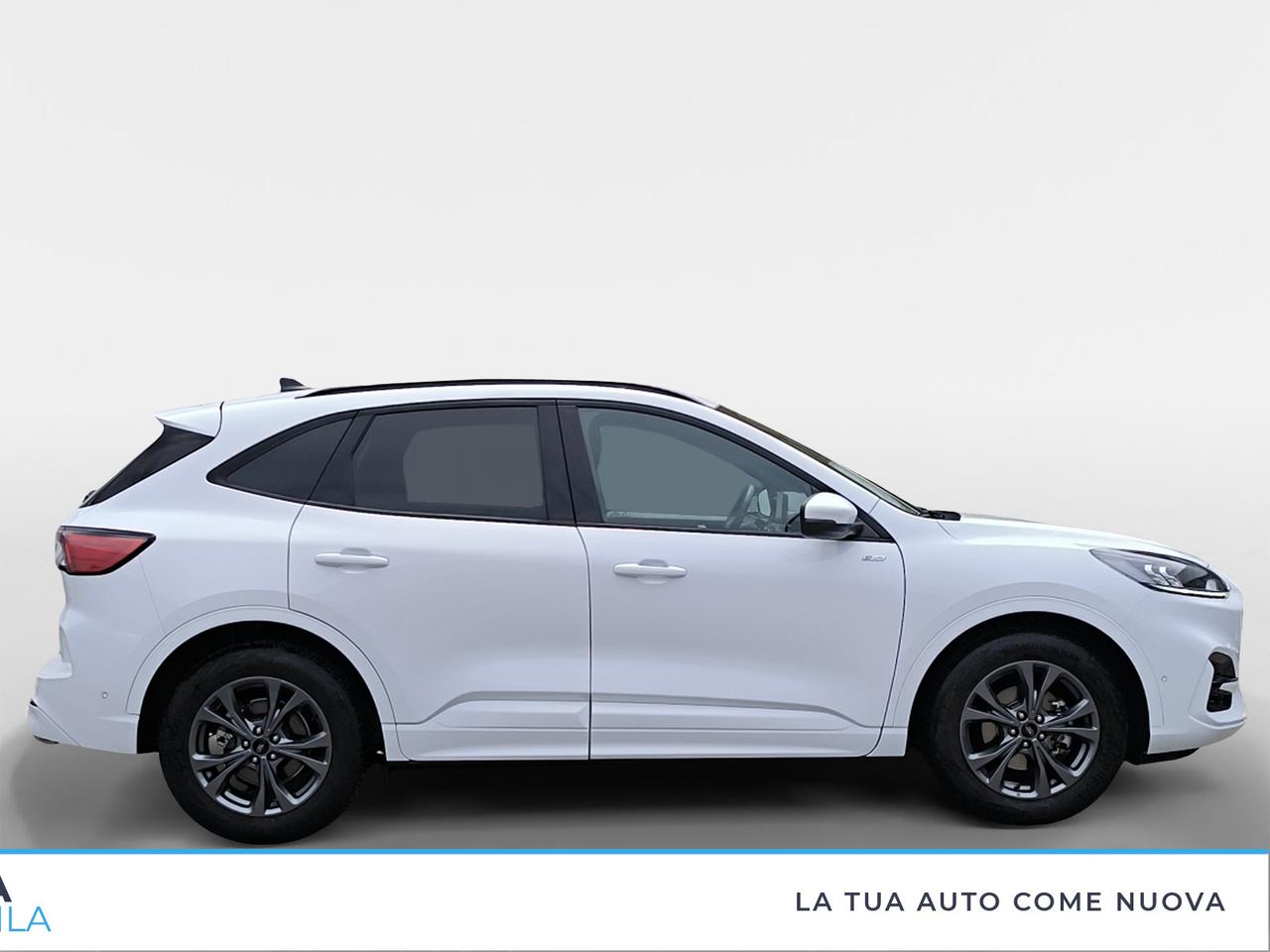 FORD Kuga III 2020 - Kuga 1.5 ecoboost ST-Line 2wd 150cv