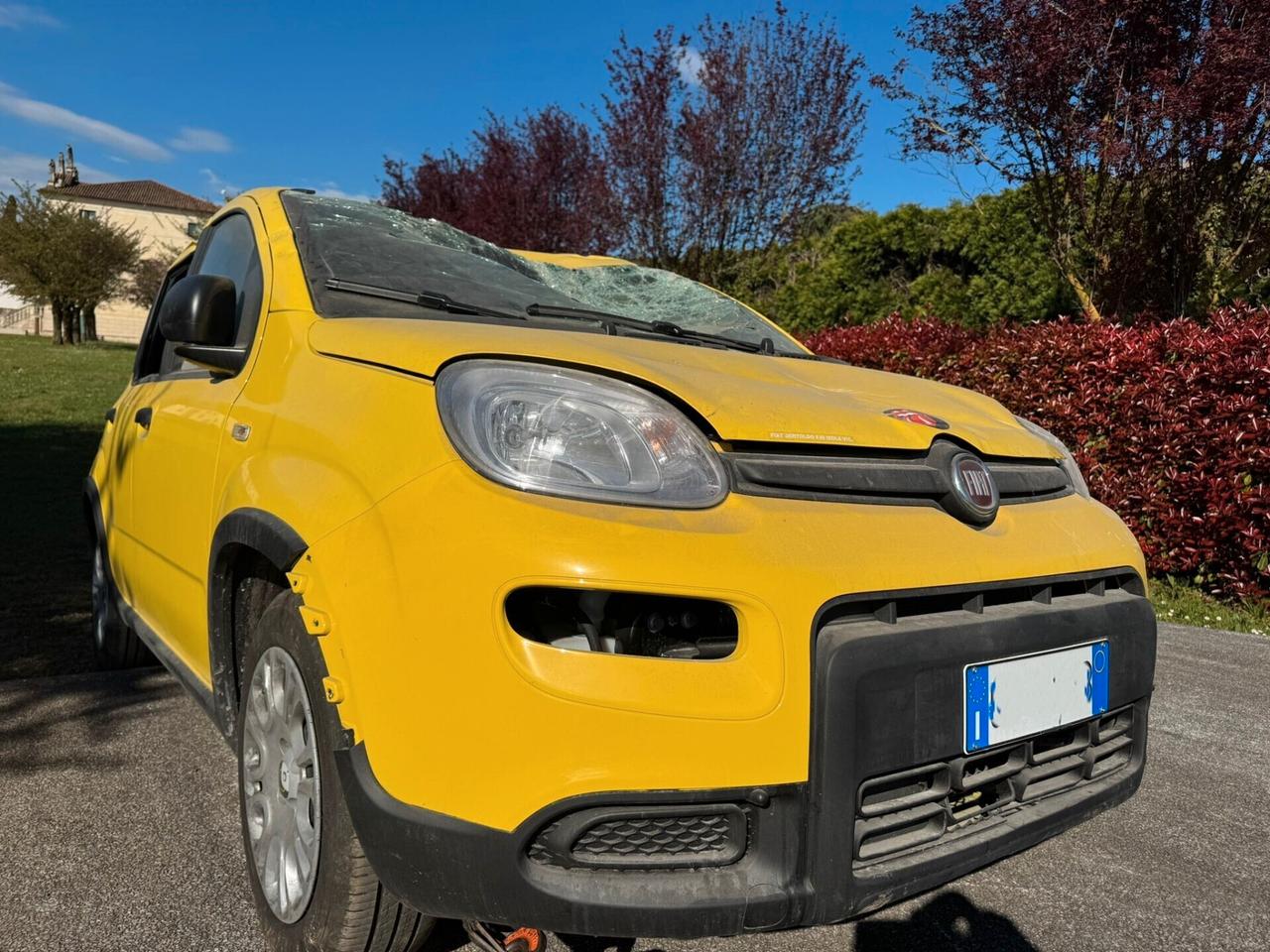 Fiat Panda 1.0 FireFly S&S Hybrid Pandina