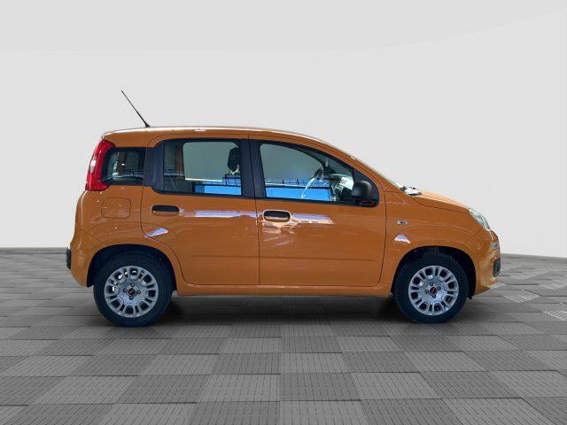 FIAT Panda Panda 1.2 Easy