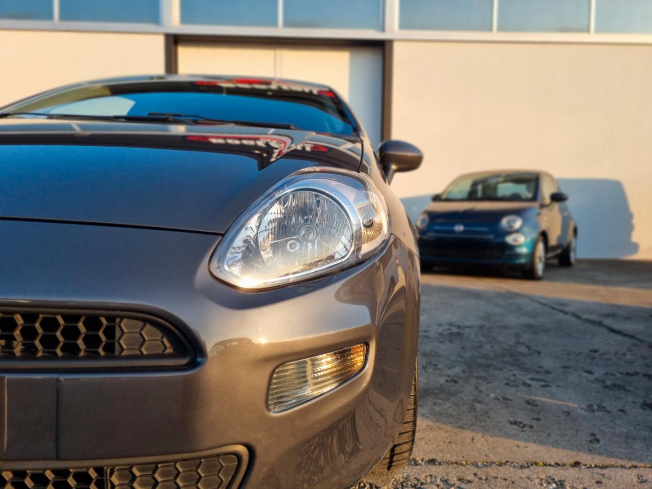 Fiat Punto 1.2 8V 5 porte Street