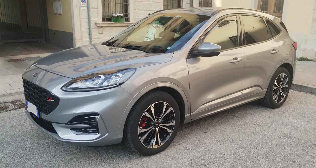 Ford Kuga 2.0 EcoBlue 150CV aut. AWD ST-Line X