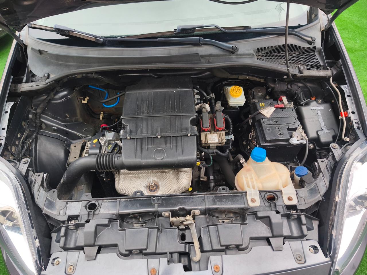 Fiat Punto 1.2 8V 5 porte Pop