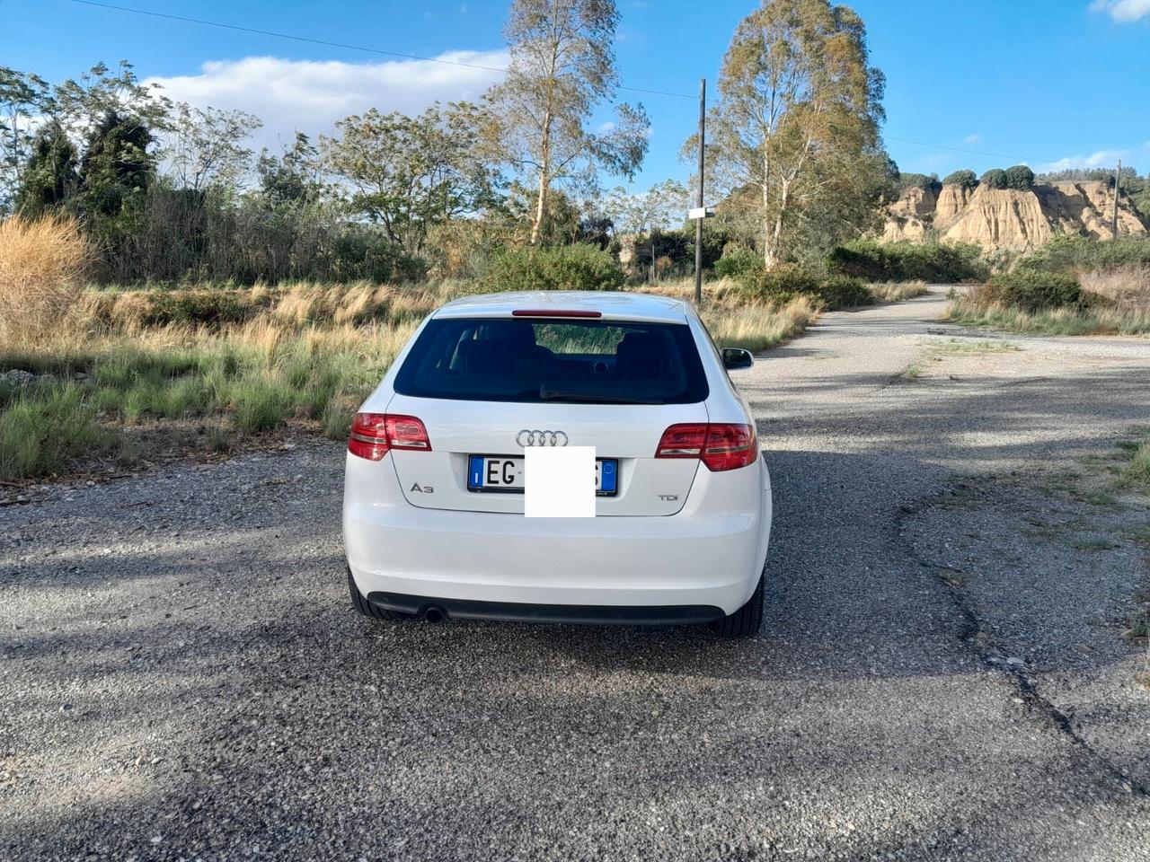 Audi A3 1.6 TDI 90 CV CR F.AP. Attraction