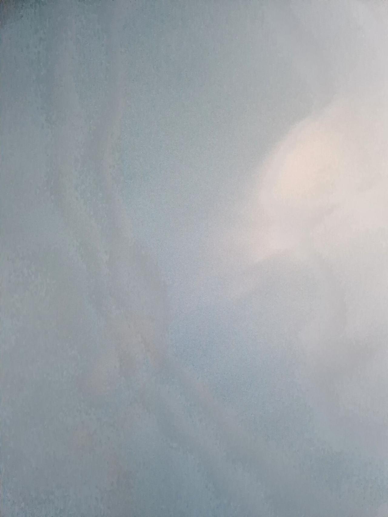 Volkswagen Polo 1.6 TDI 95 CV 5p. 5 53.000 Km.